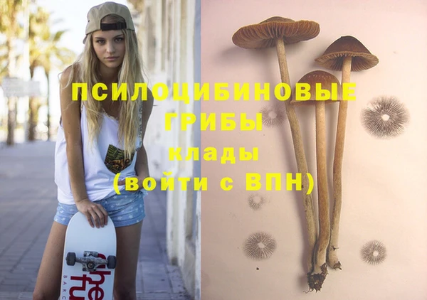 дмт Алзамай