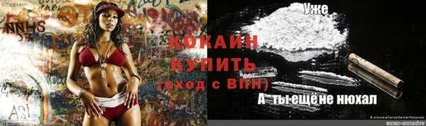 тгк Алексин