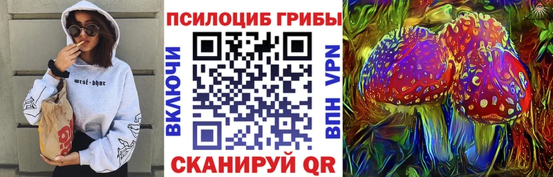 купить сайты Заозёрный Псилоцибиновые грибы Cubensis